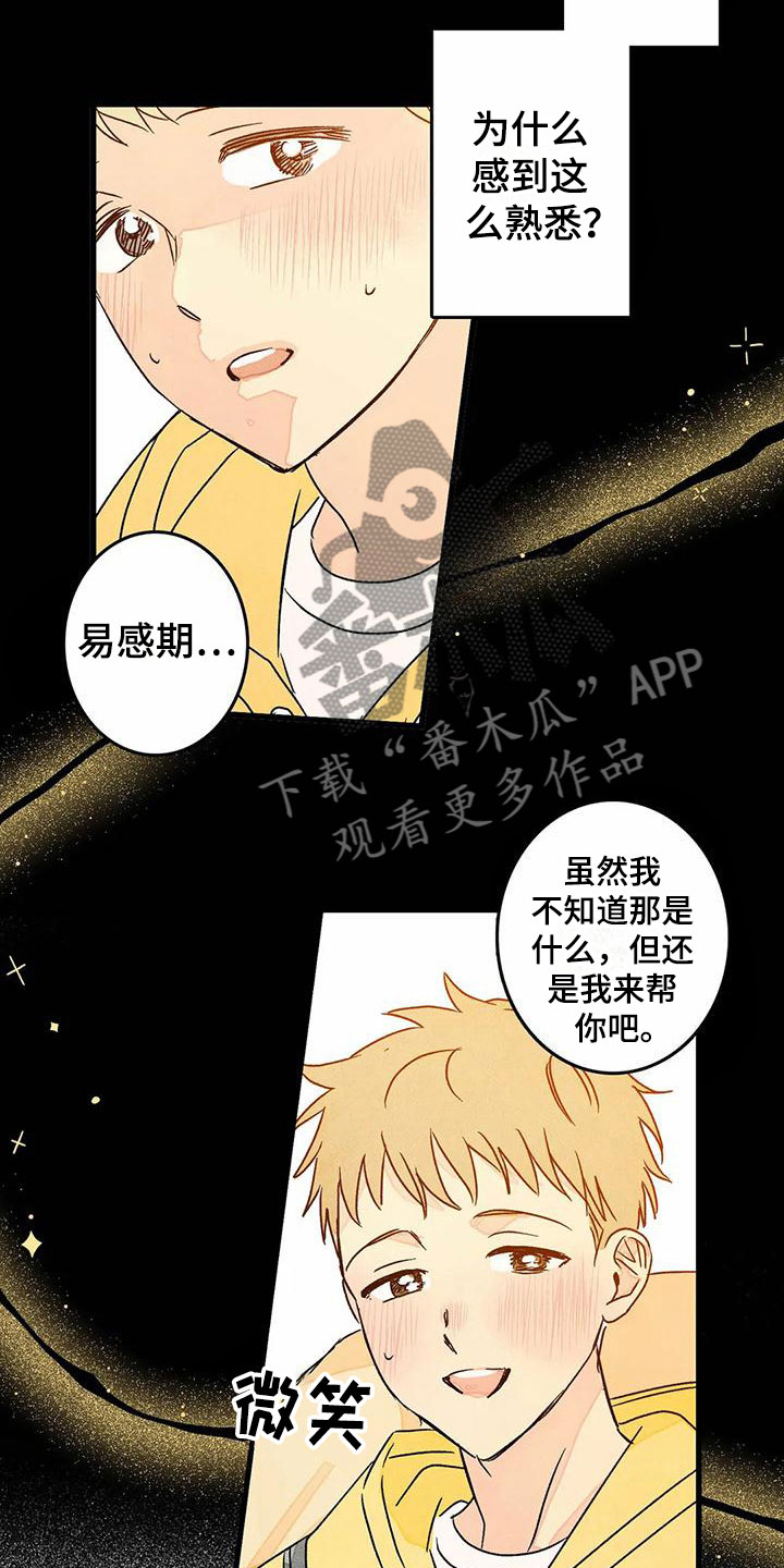 第10章：喜欢这个人9