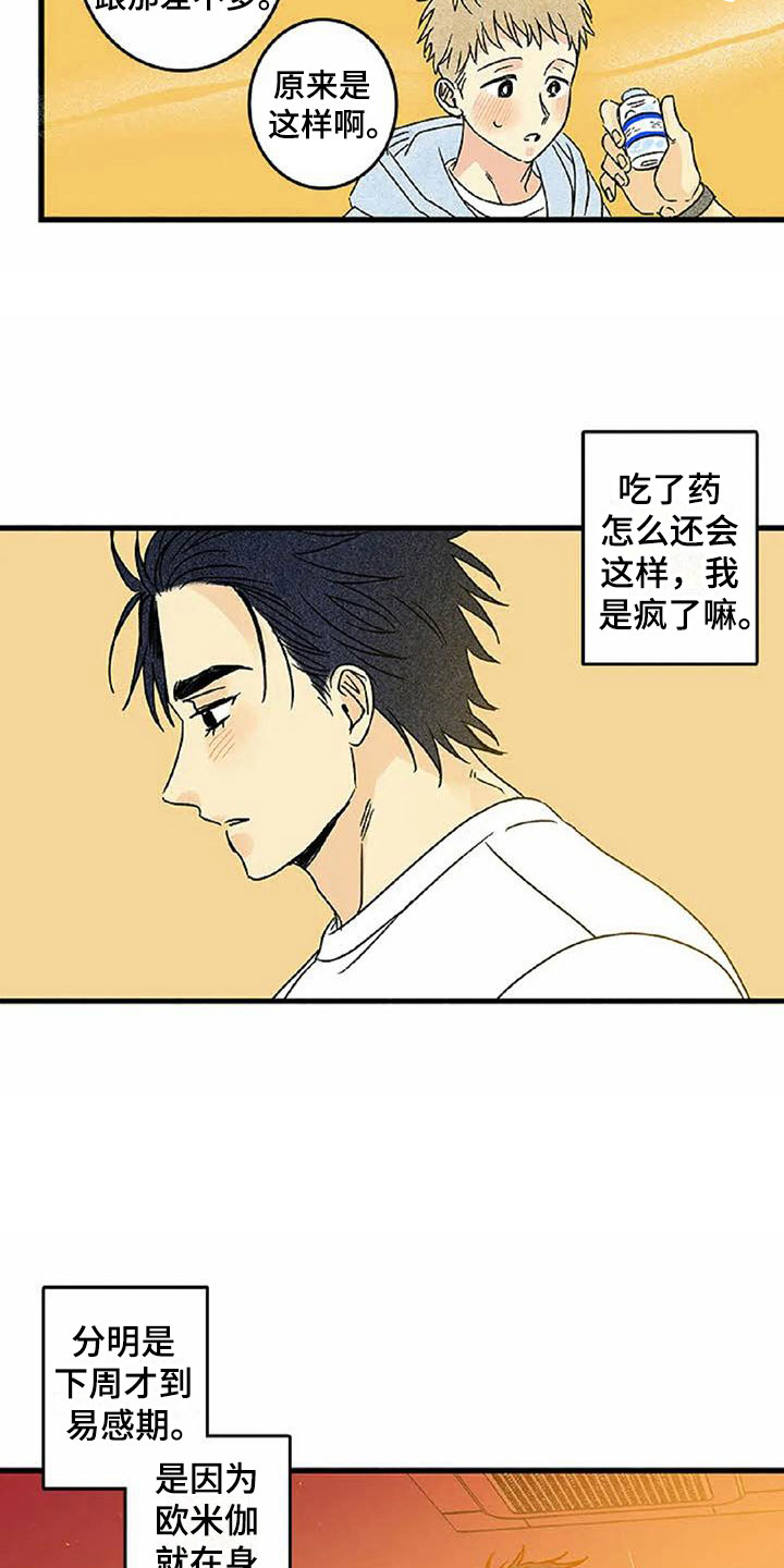第6章：橙子香味4