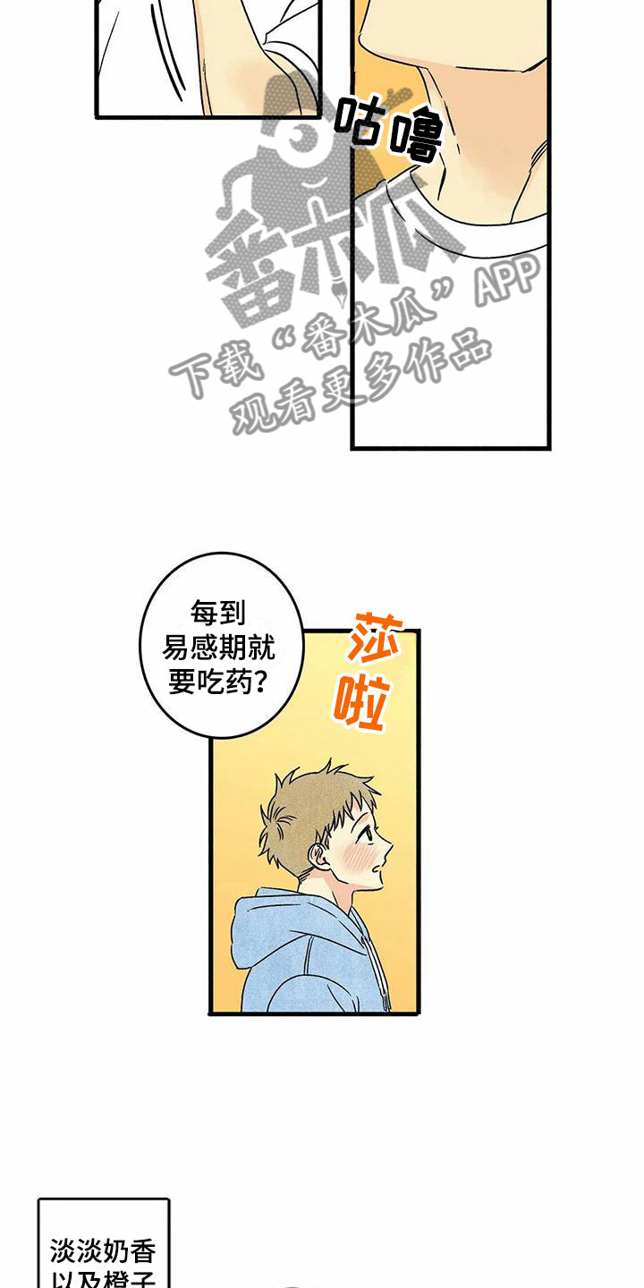 第6章：橙子香味2
