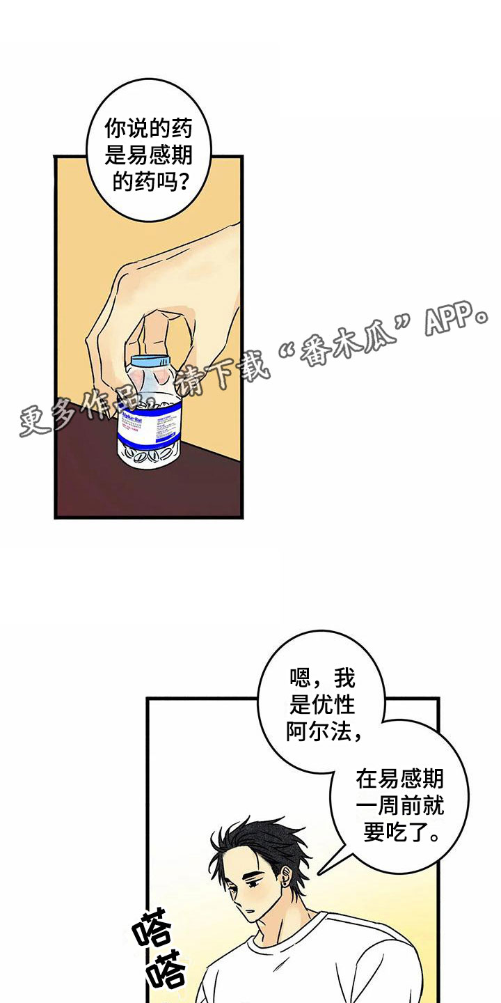 第6章：橙子香味0