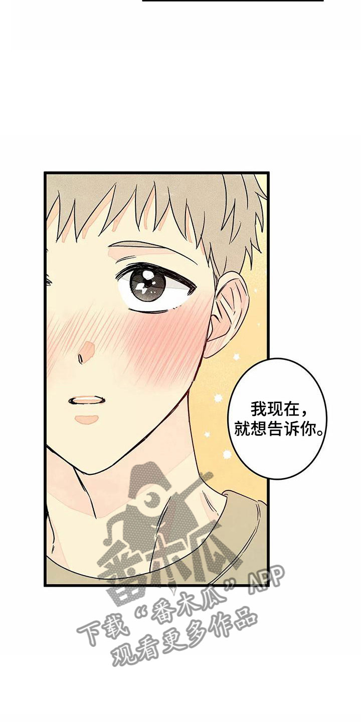 第12章：表白（完结）15