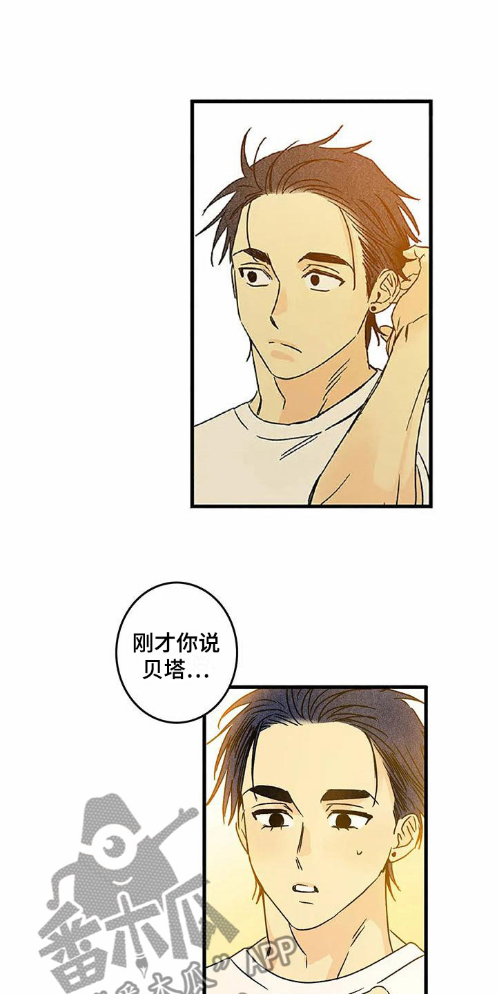 第6章：橙子香味6
