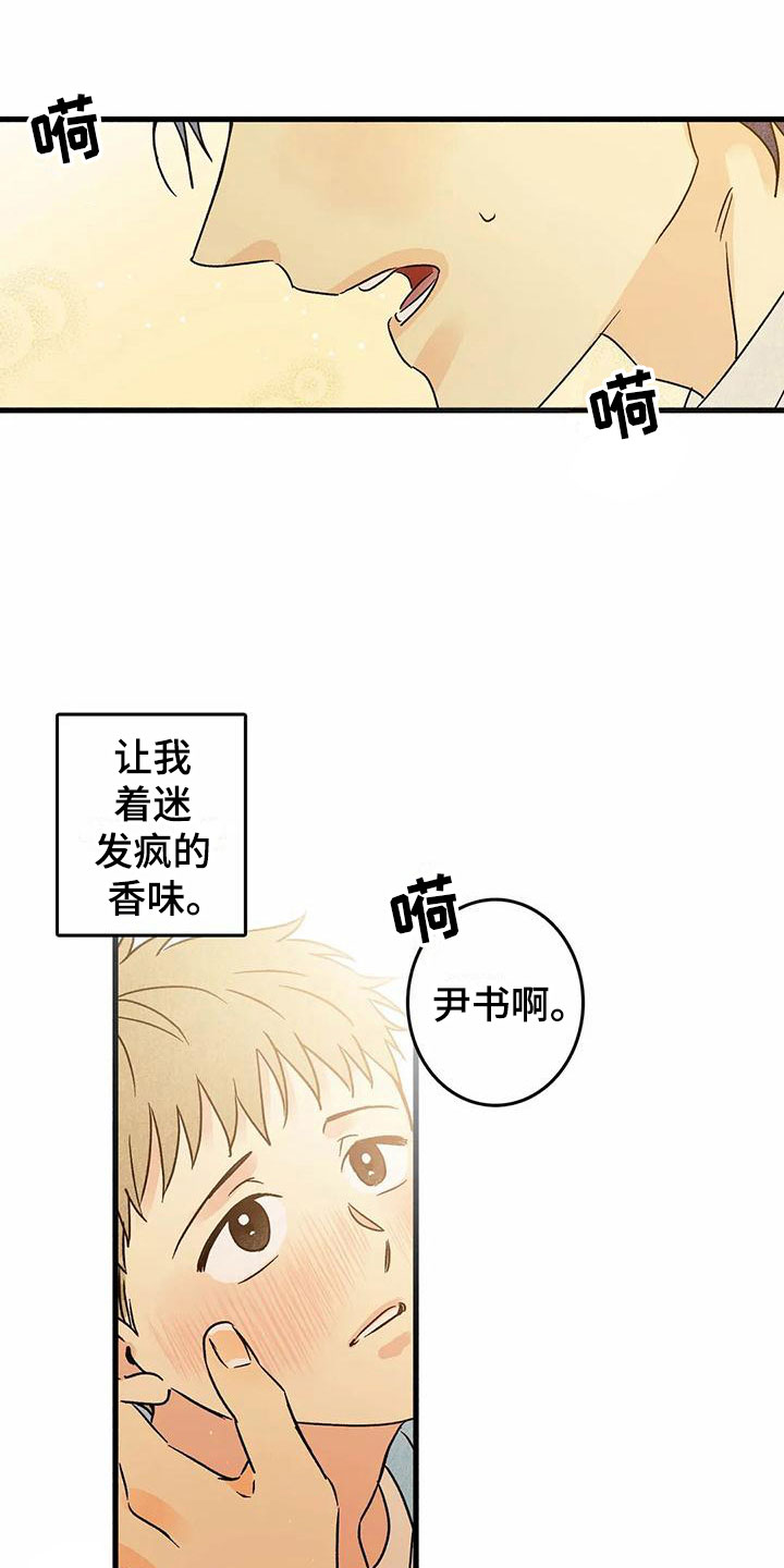 第6章：橙子香味11