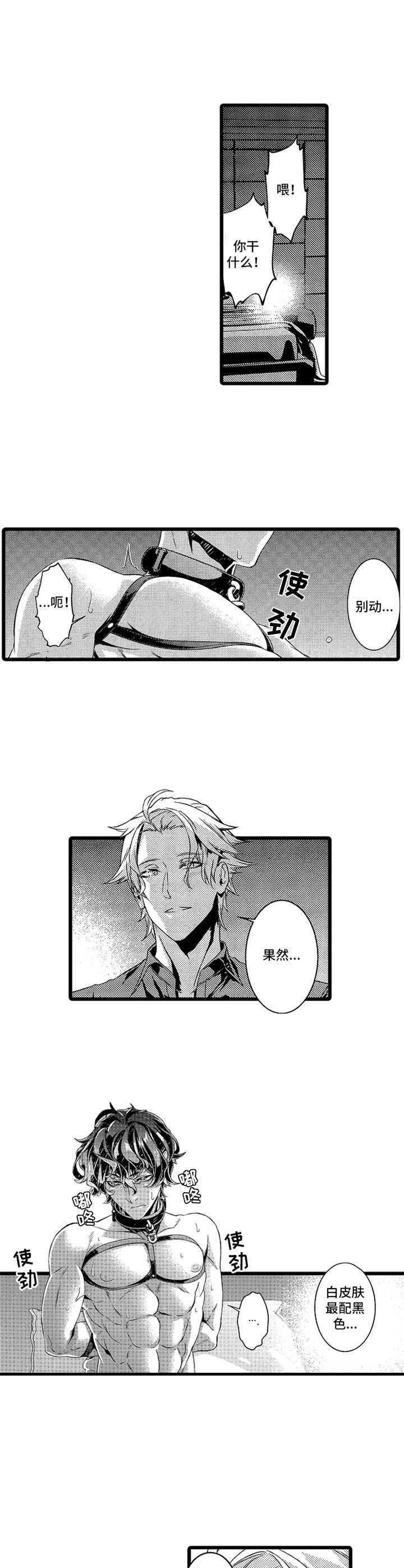 第12章：后续5