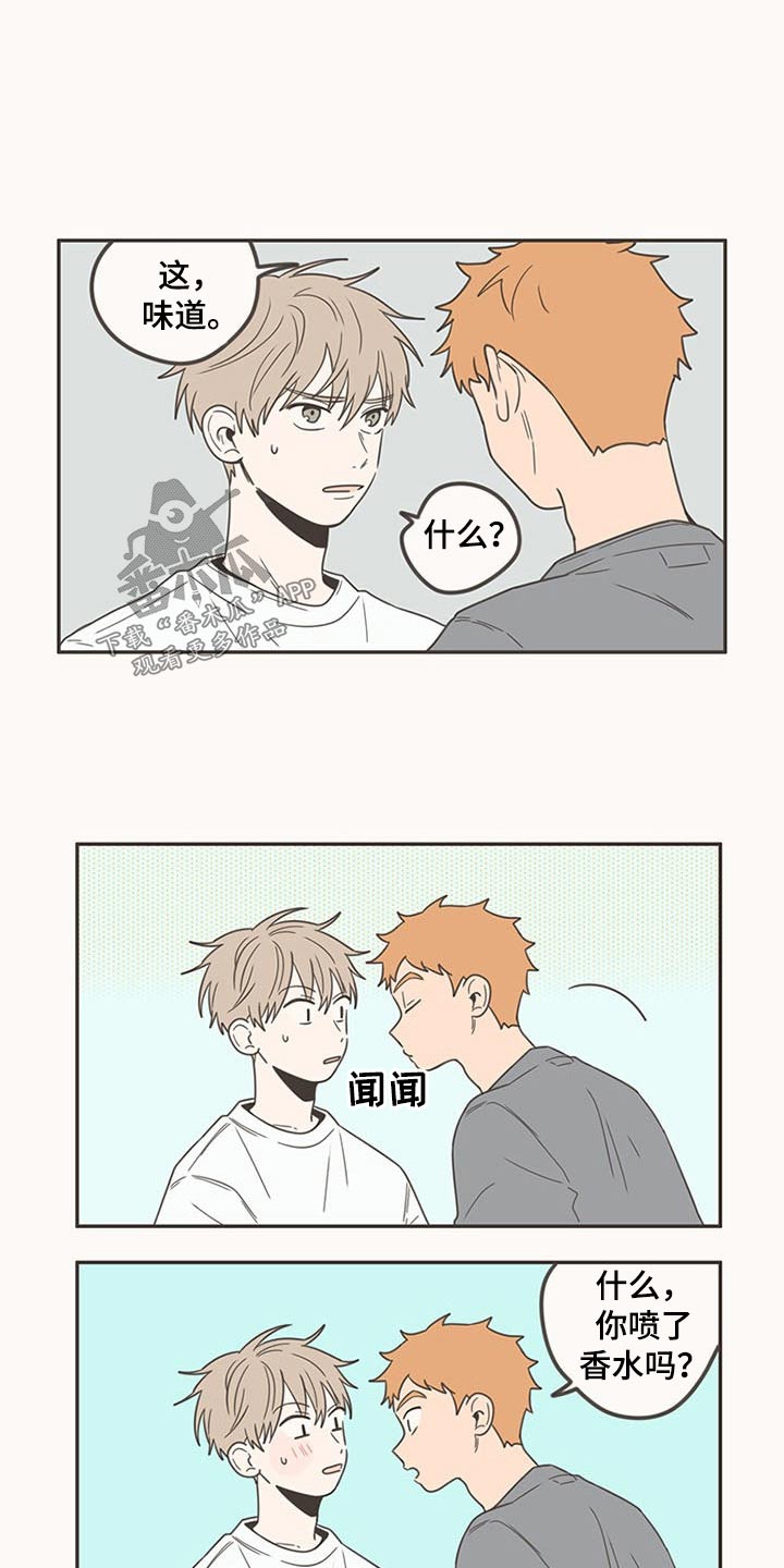 第95章：生日快乐8