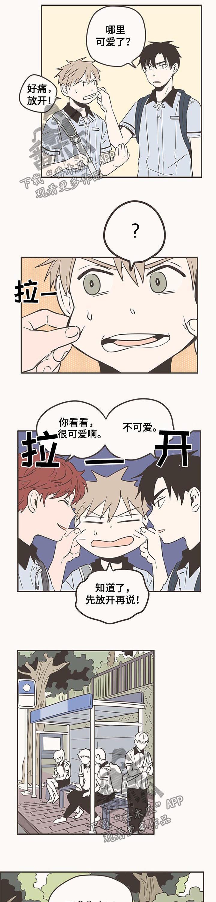 第55章：可爱5