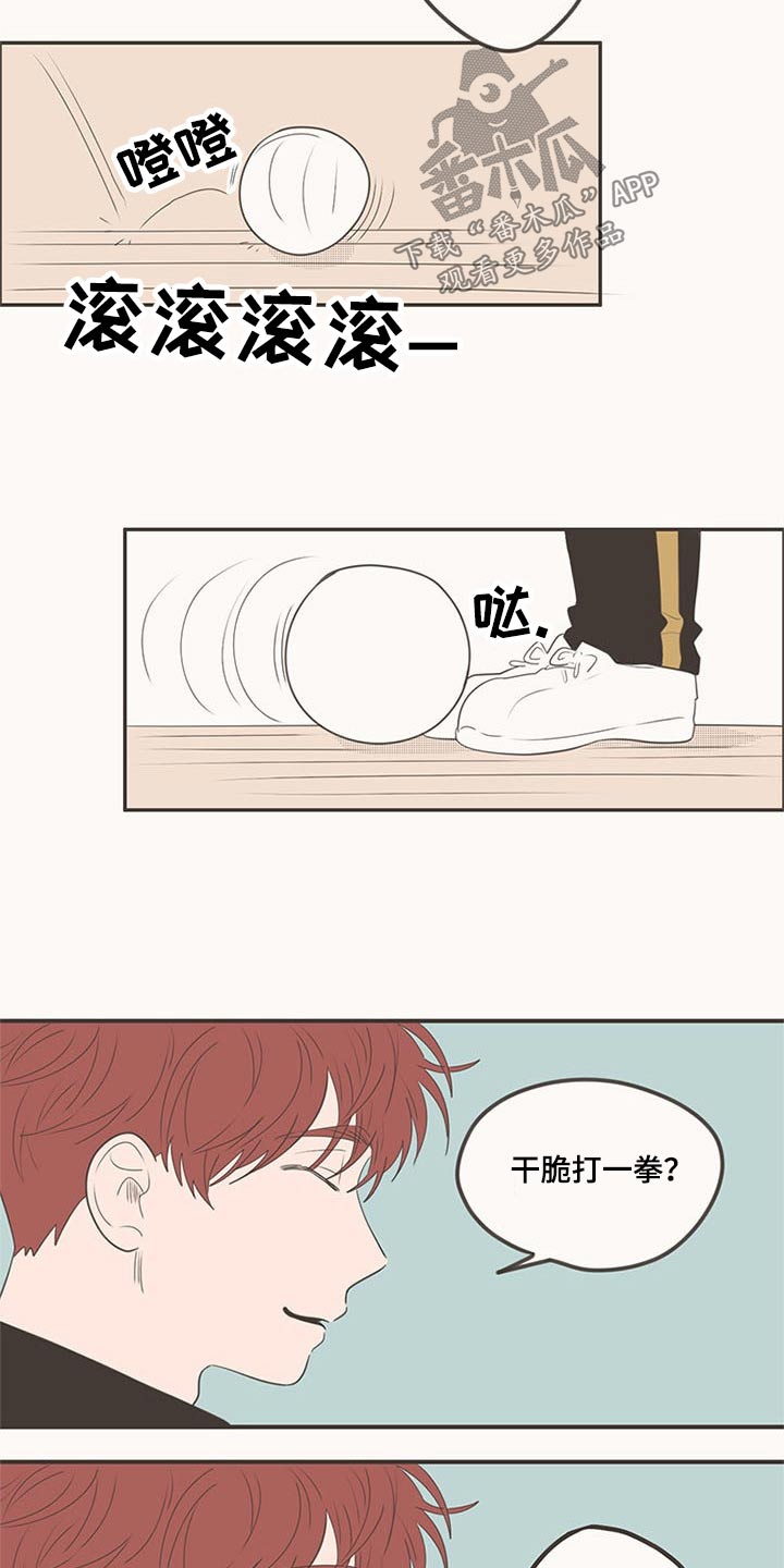 第103章：排球19