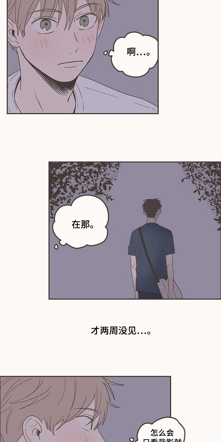 第95章：生日快乐19