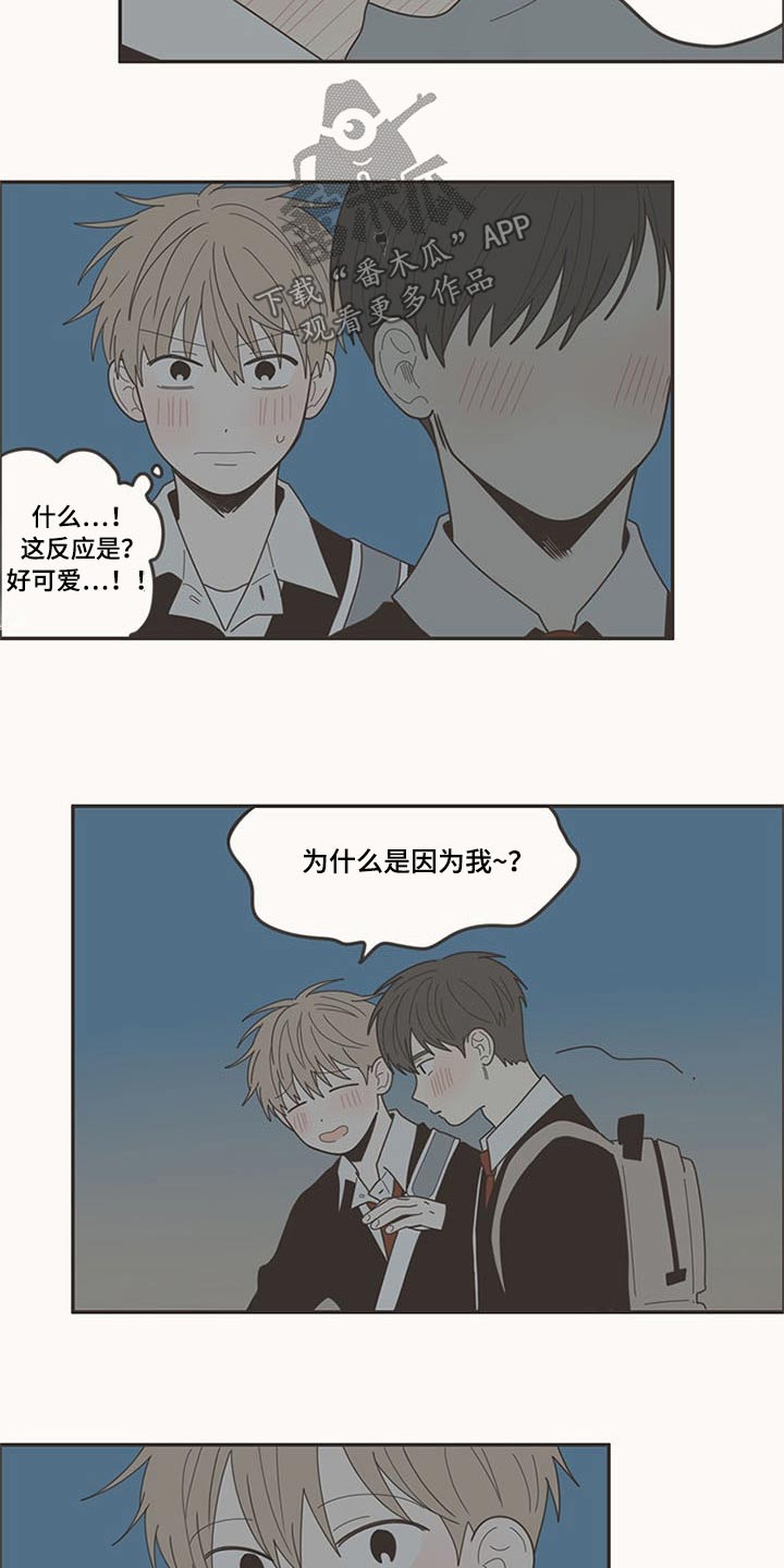 第107章：喜欢你15