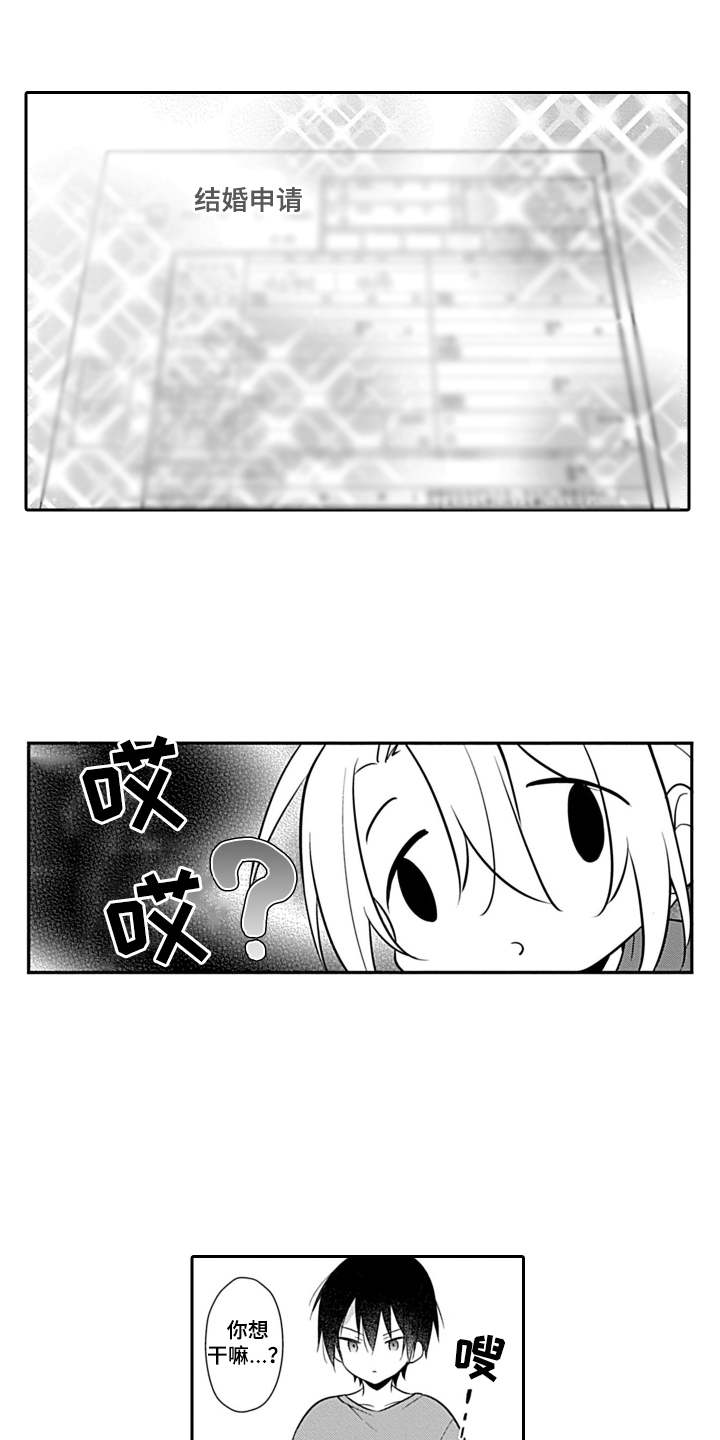 第18章：申请书0
