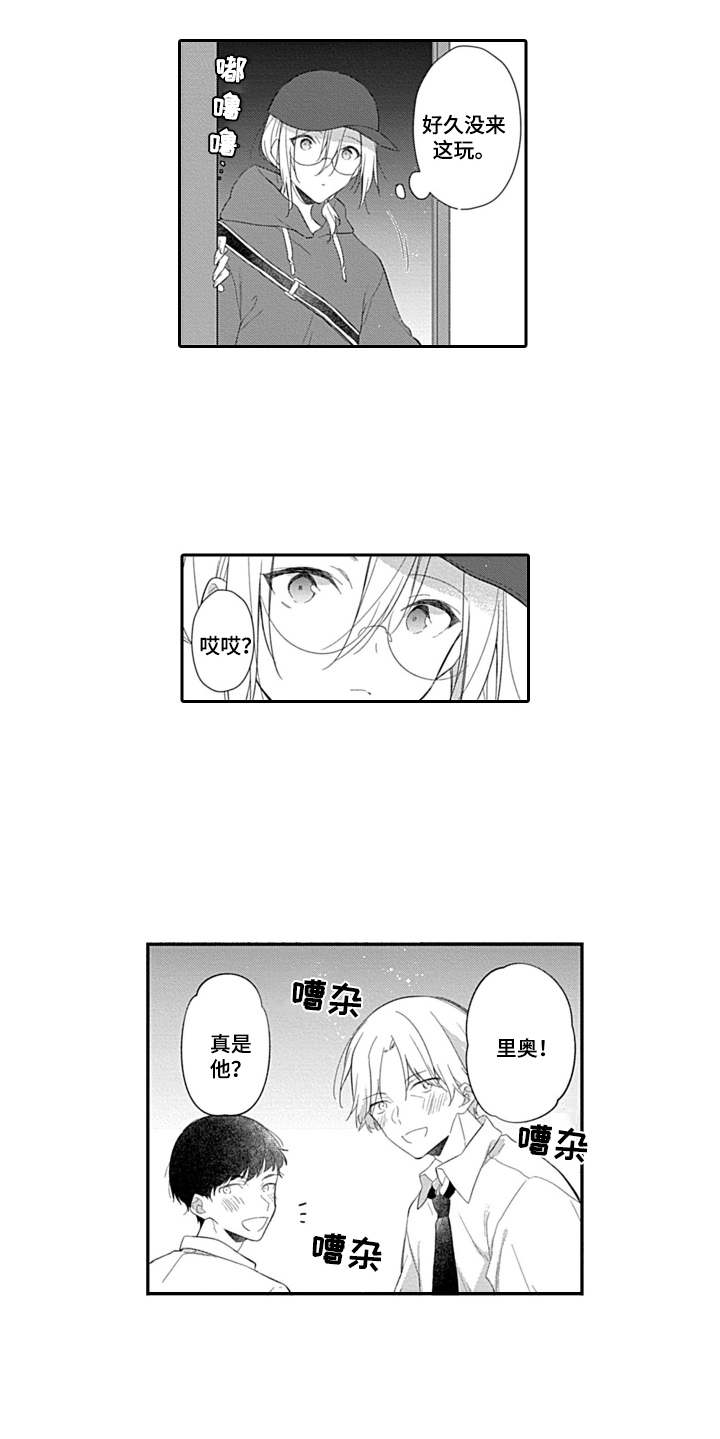 第13章：无需遵守5