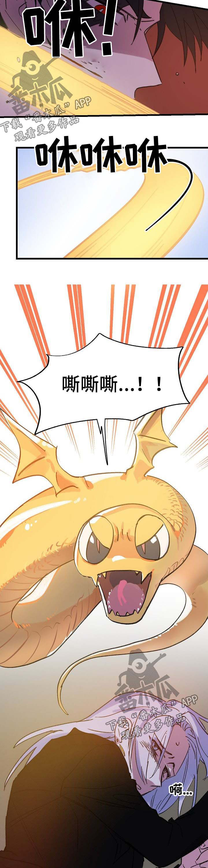 第41章：又会怎样7
