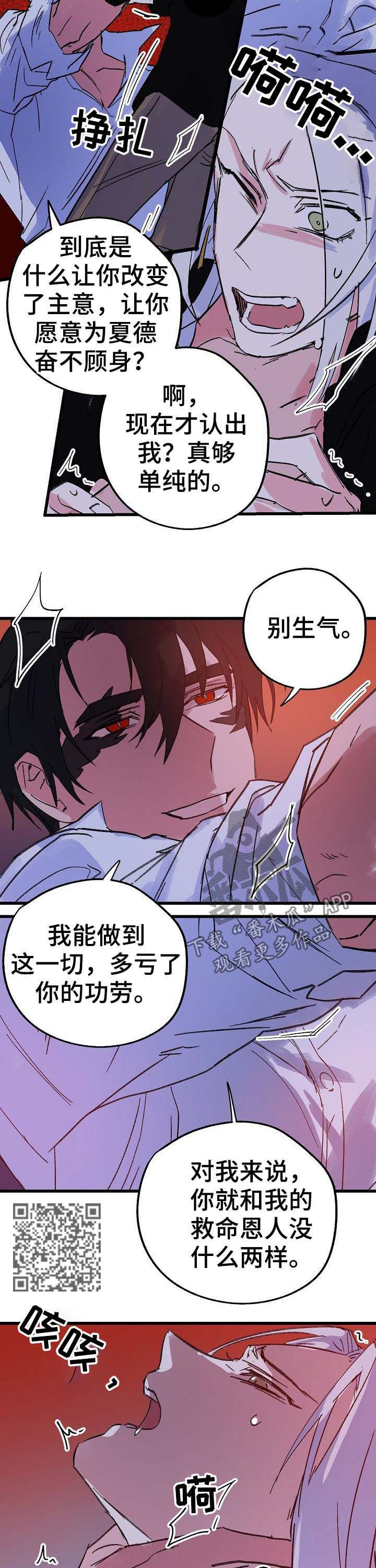 第40章：诅咒6
