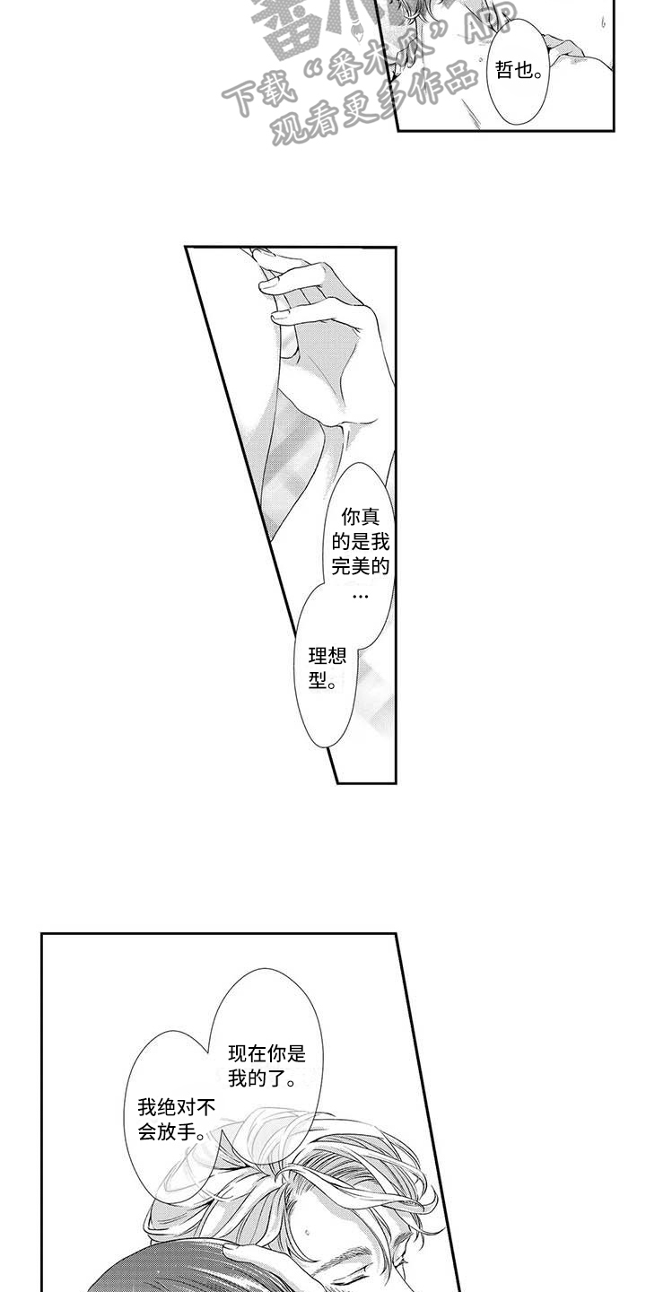 第18章：理想型12