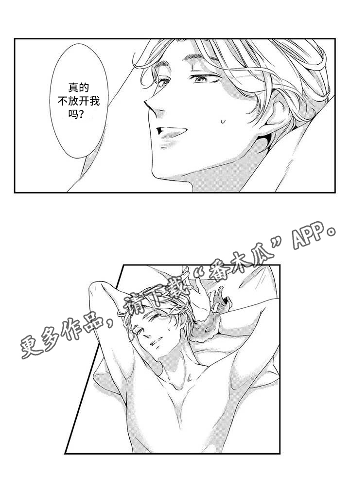 第19章：吸引力11
