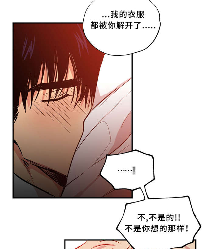 第34章：我喜欢你15