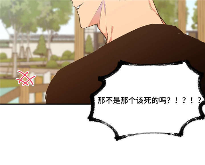 第17章：倒霉到家7