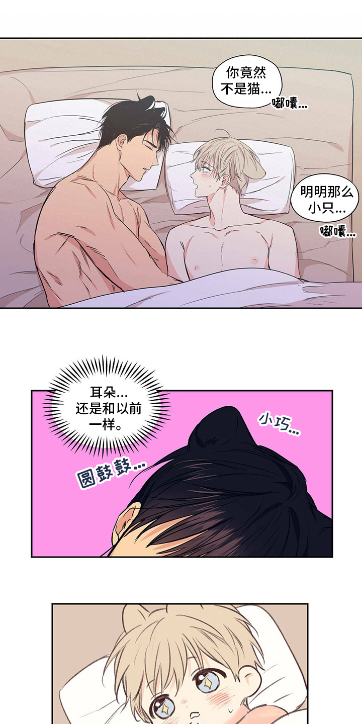 第97章：【番外】不用担心8