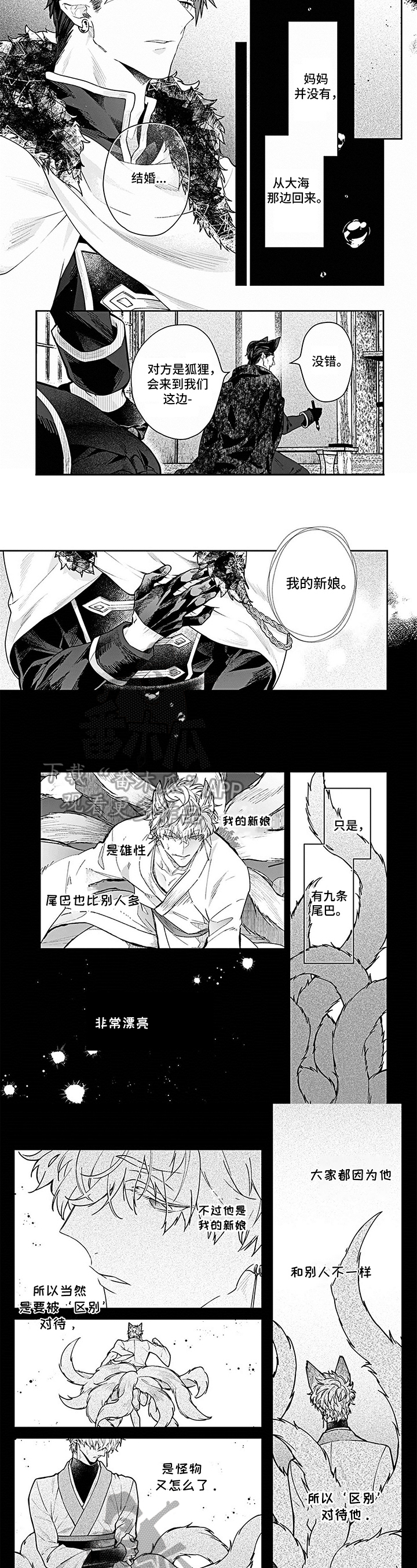 第14章：出海2
