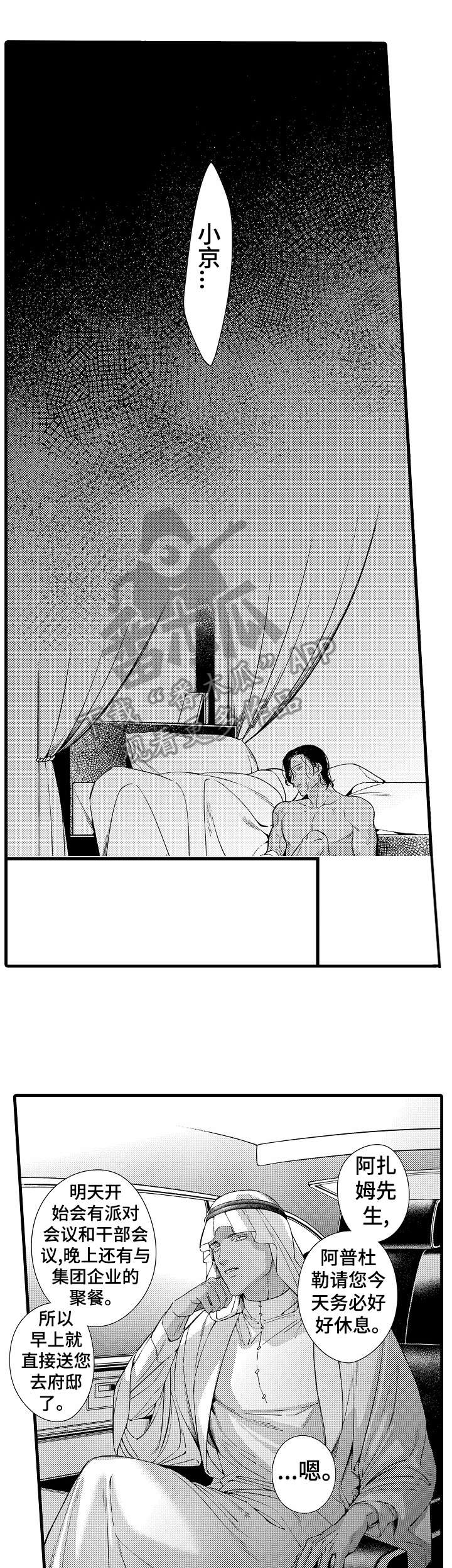 第23章：迪拜5