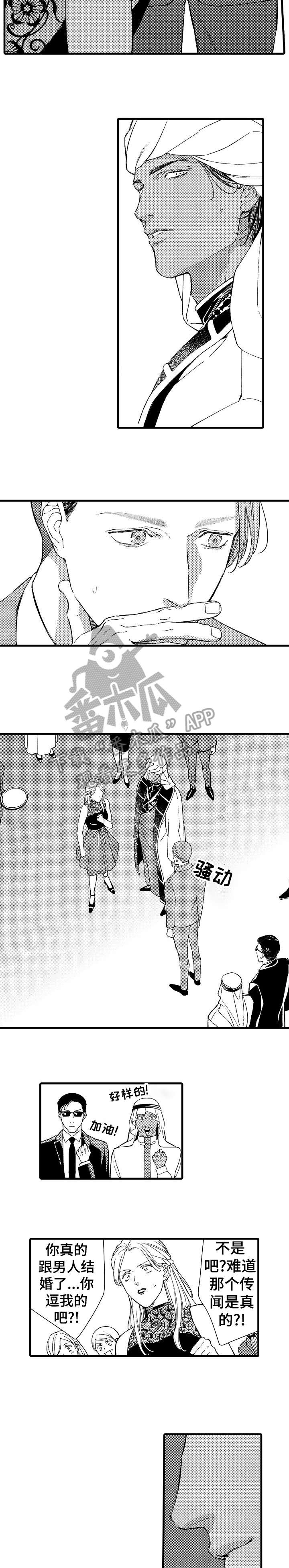 第14章：伴侣4