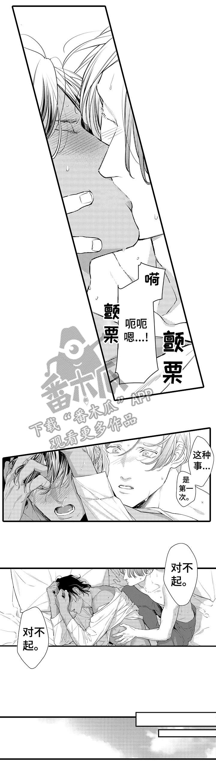 第12章：耀眼3