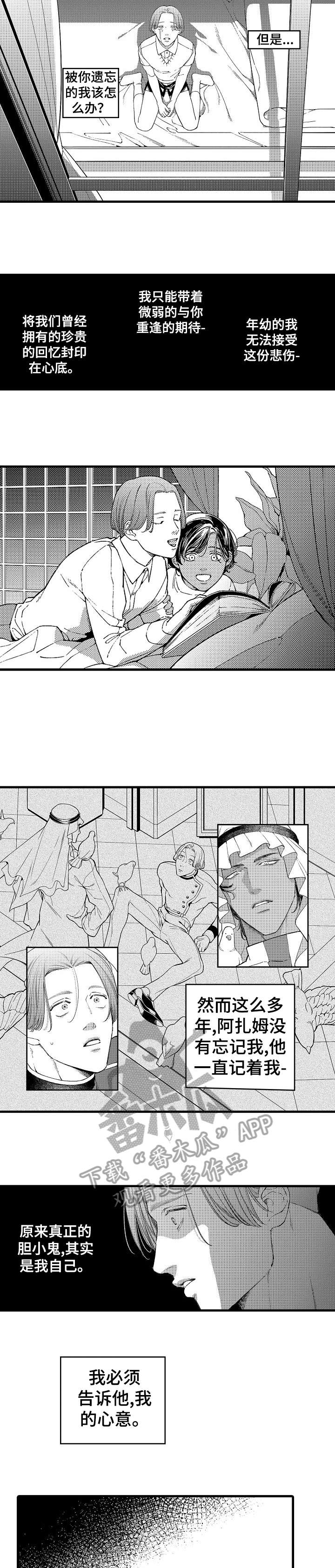 第17章：遇刺1