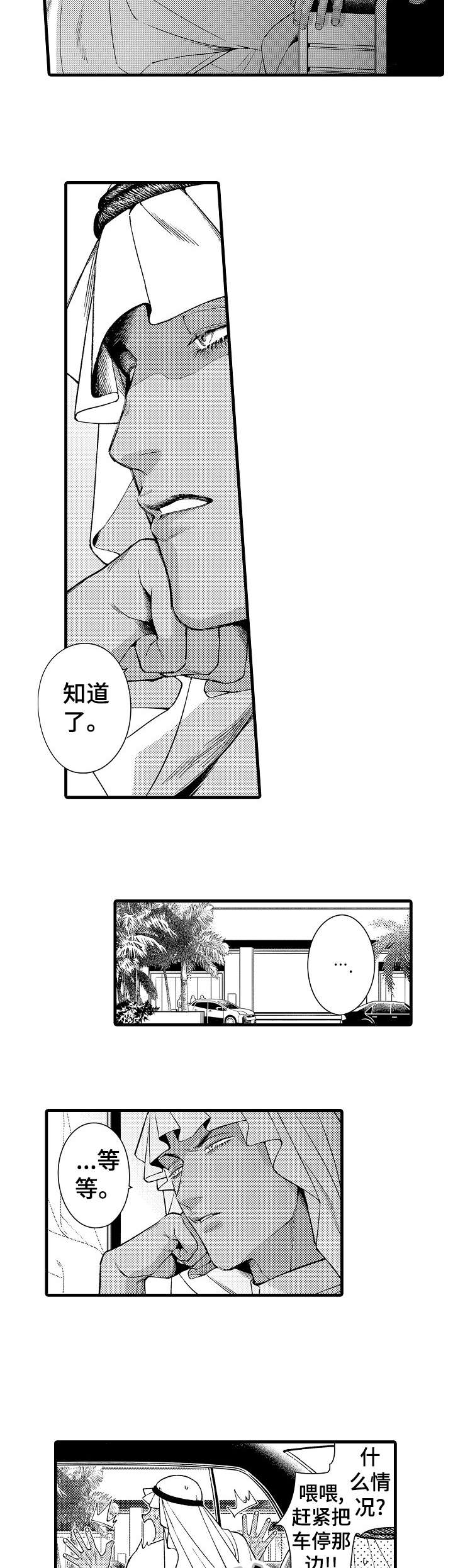 第23章：迪拜6