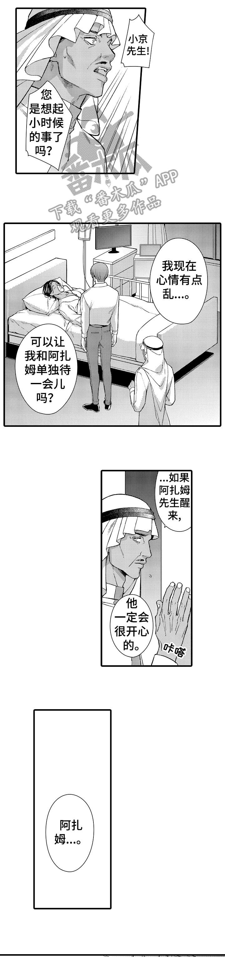 第17章：遇刺8