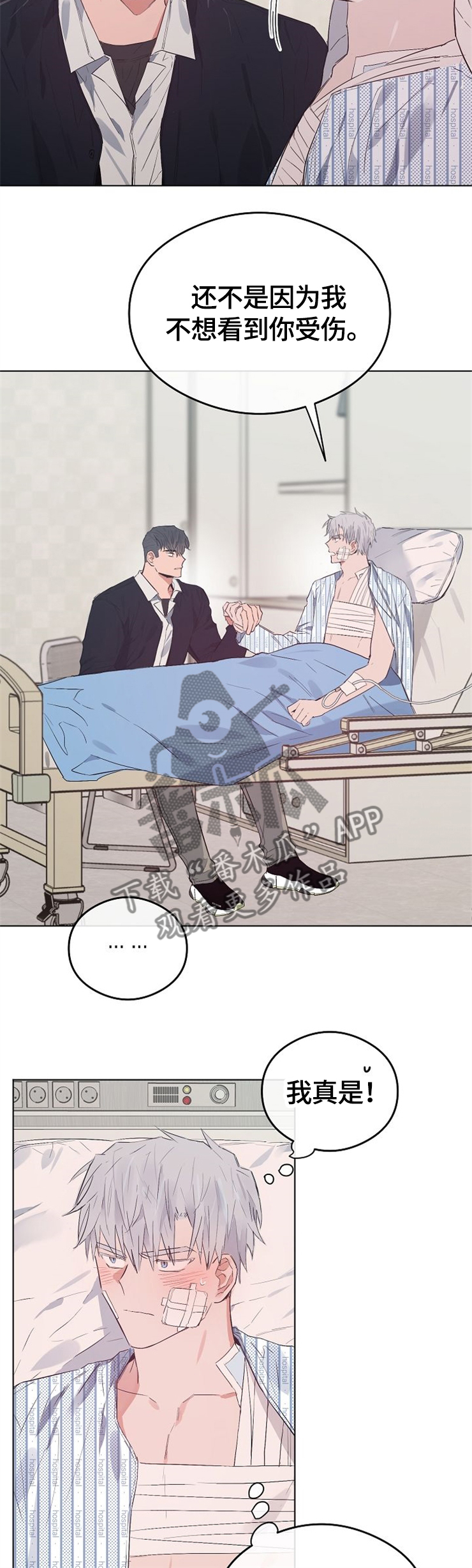 第63章：我喜欢你5