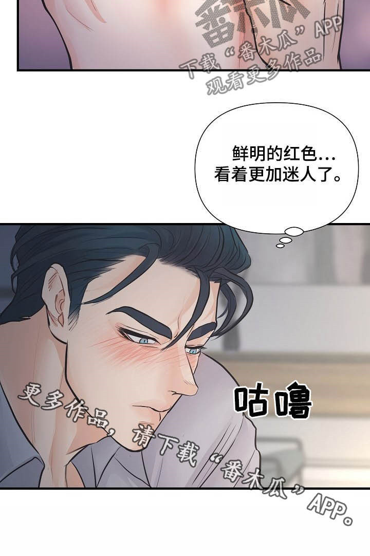 第14章：迷人19