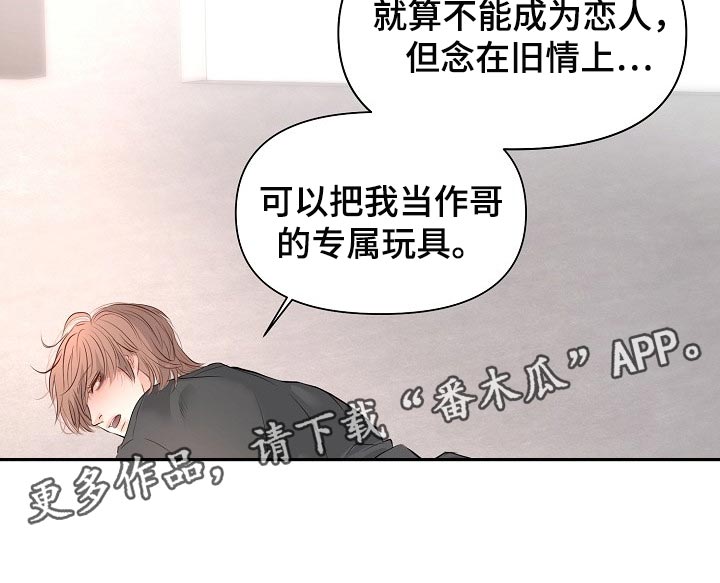 第38章：专属玩具19