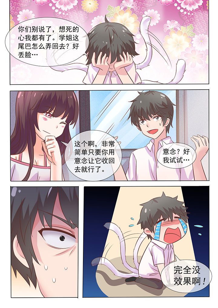 第11章：7