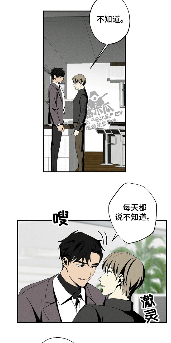 第113章：干杯6