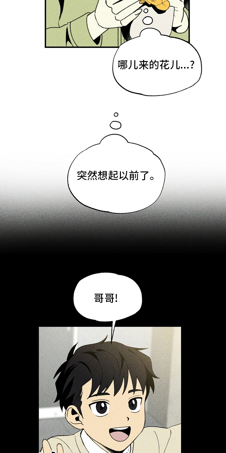 第64章：花儿13