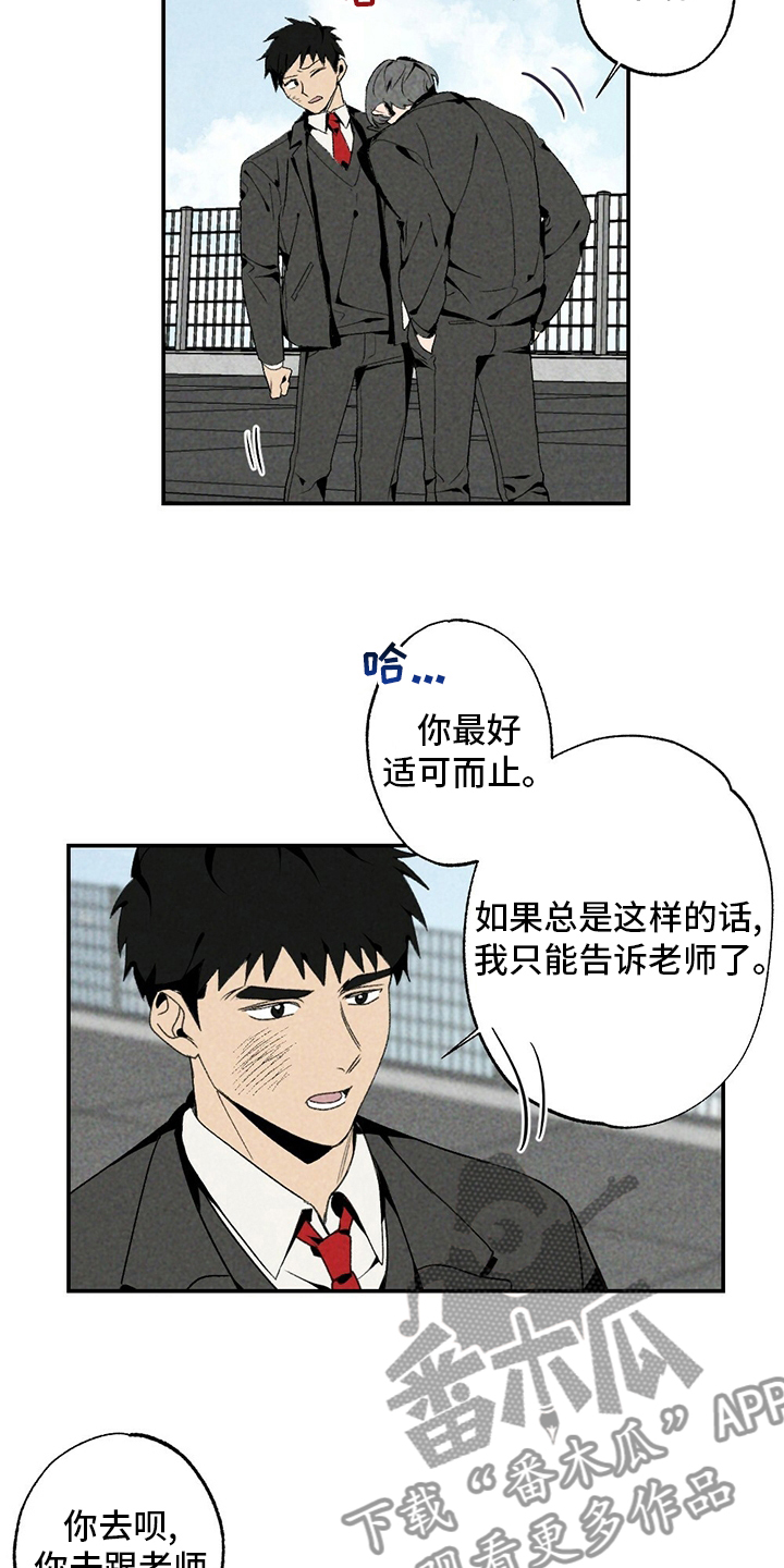 第81章：易拉罐6