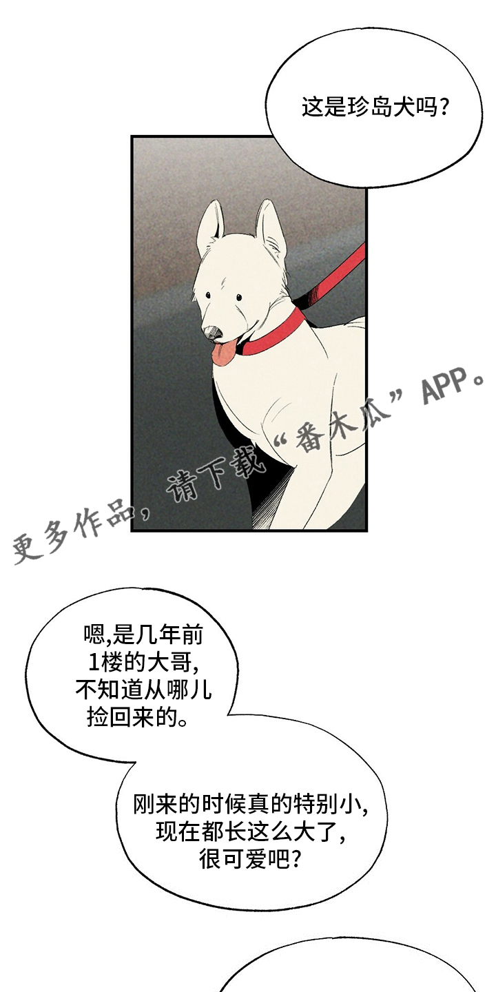 第62章：录音0