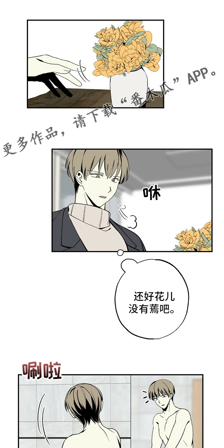 第79章：蛋糕0