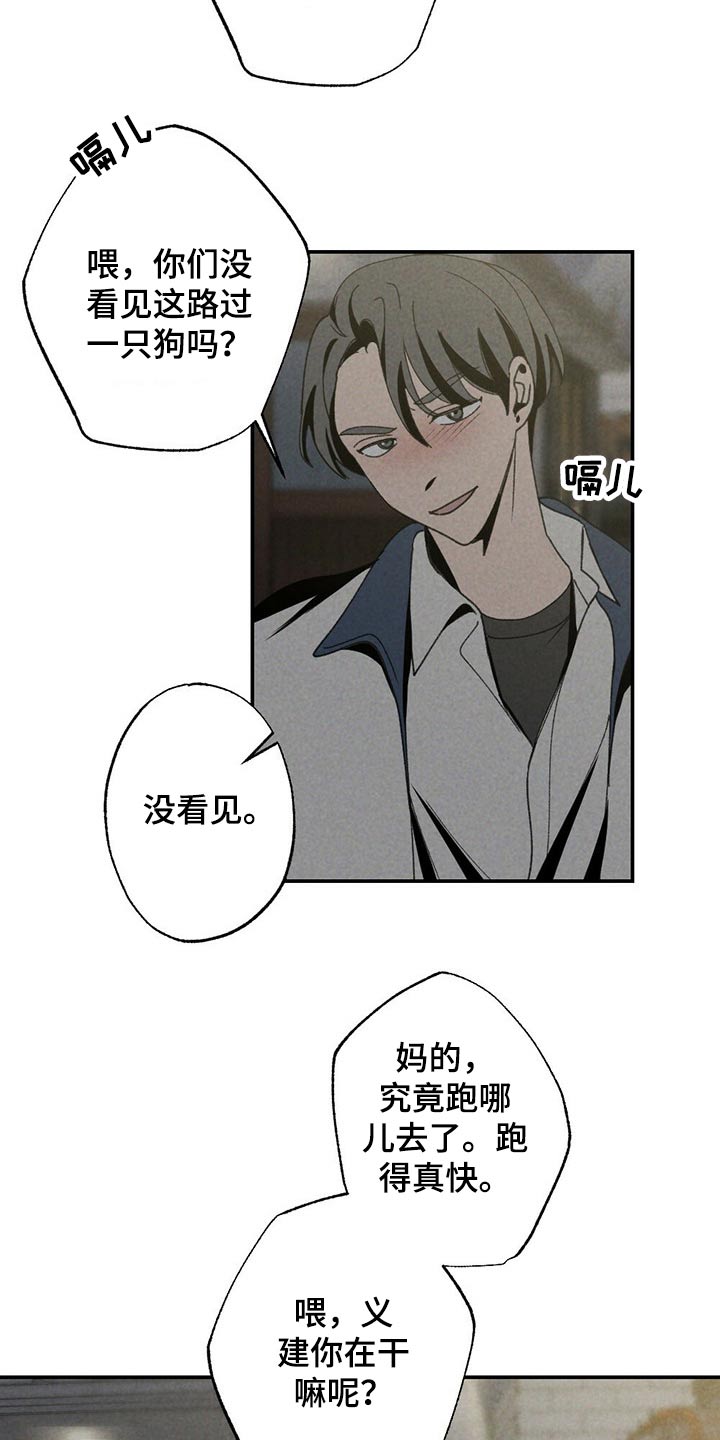 第101章：狗狗20
