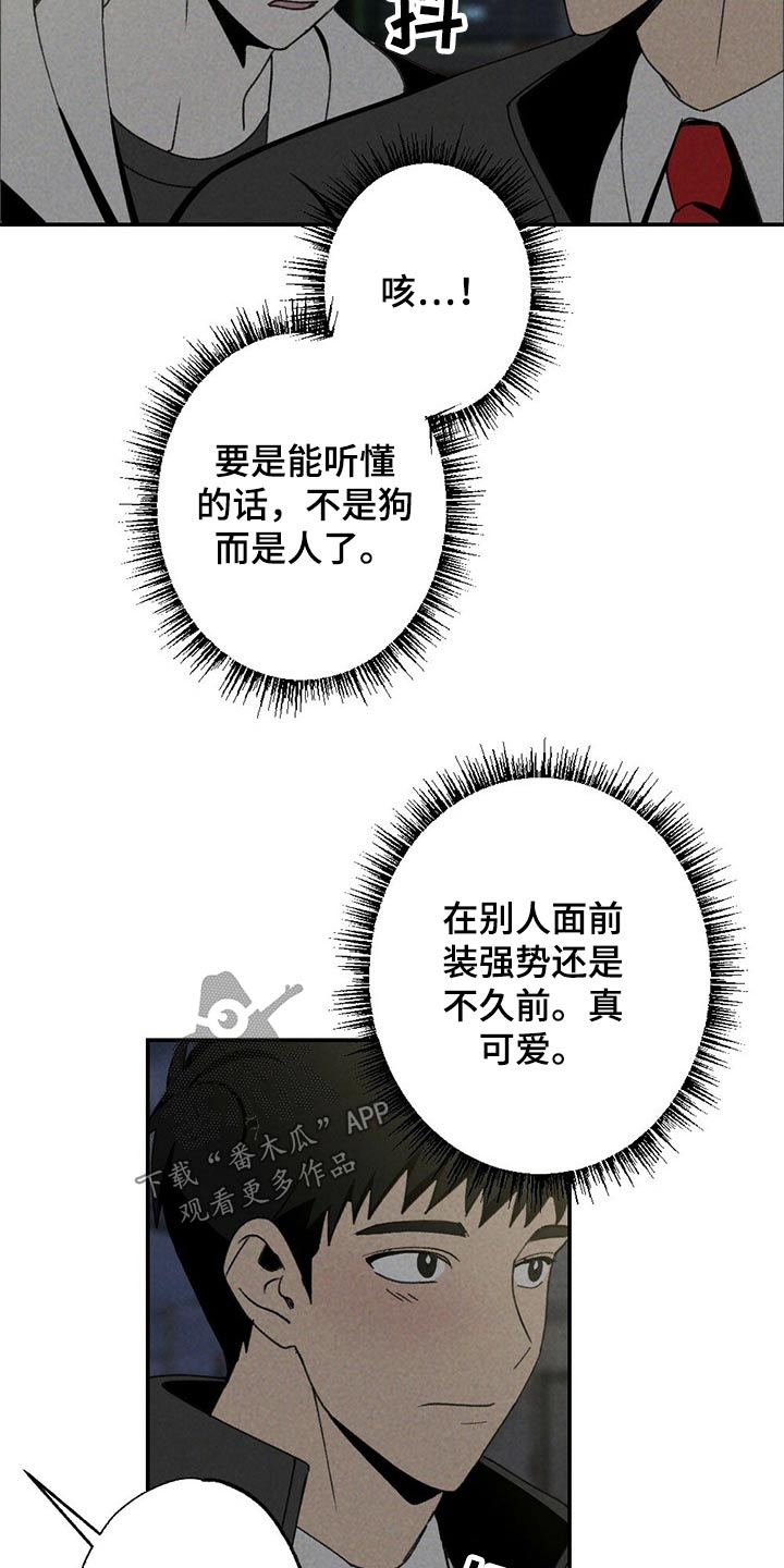第101章：狗狗14