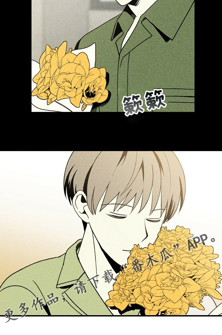 第64章：花儿21