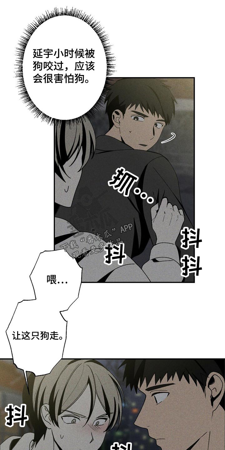 第101章：狗狗13