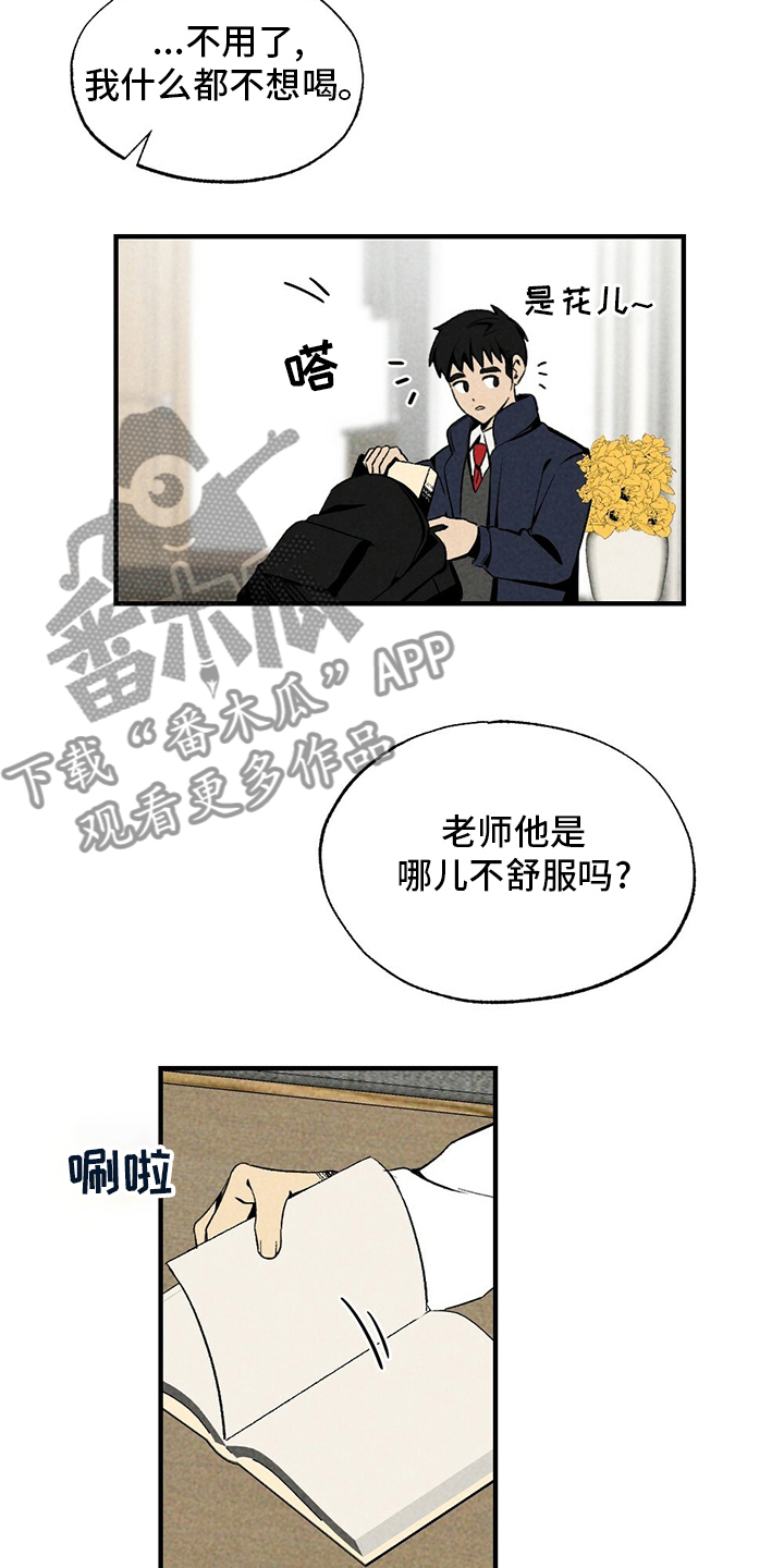 第65章：香雪兰6