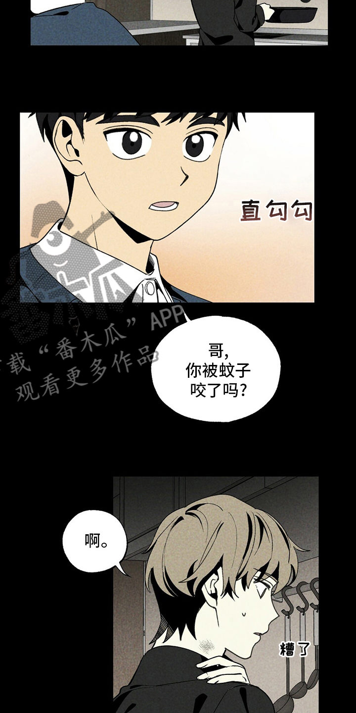 第54章：羡慕12