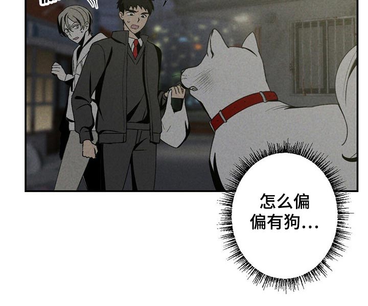 第101章：狗狗12