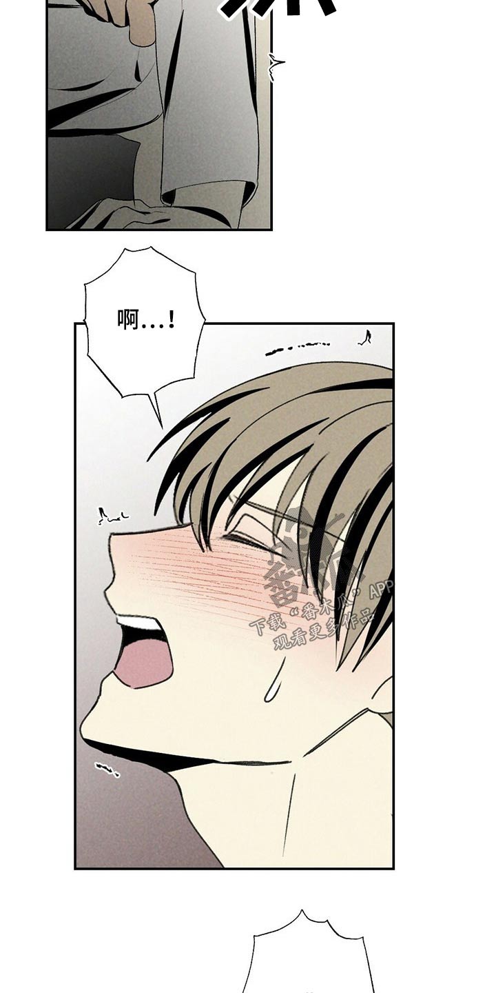 第109章：羡慕5