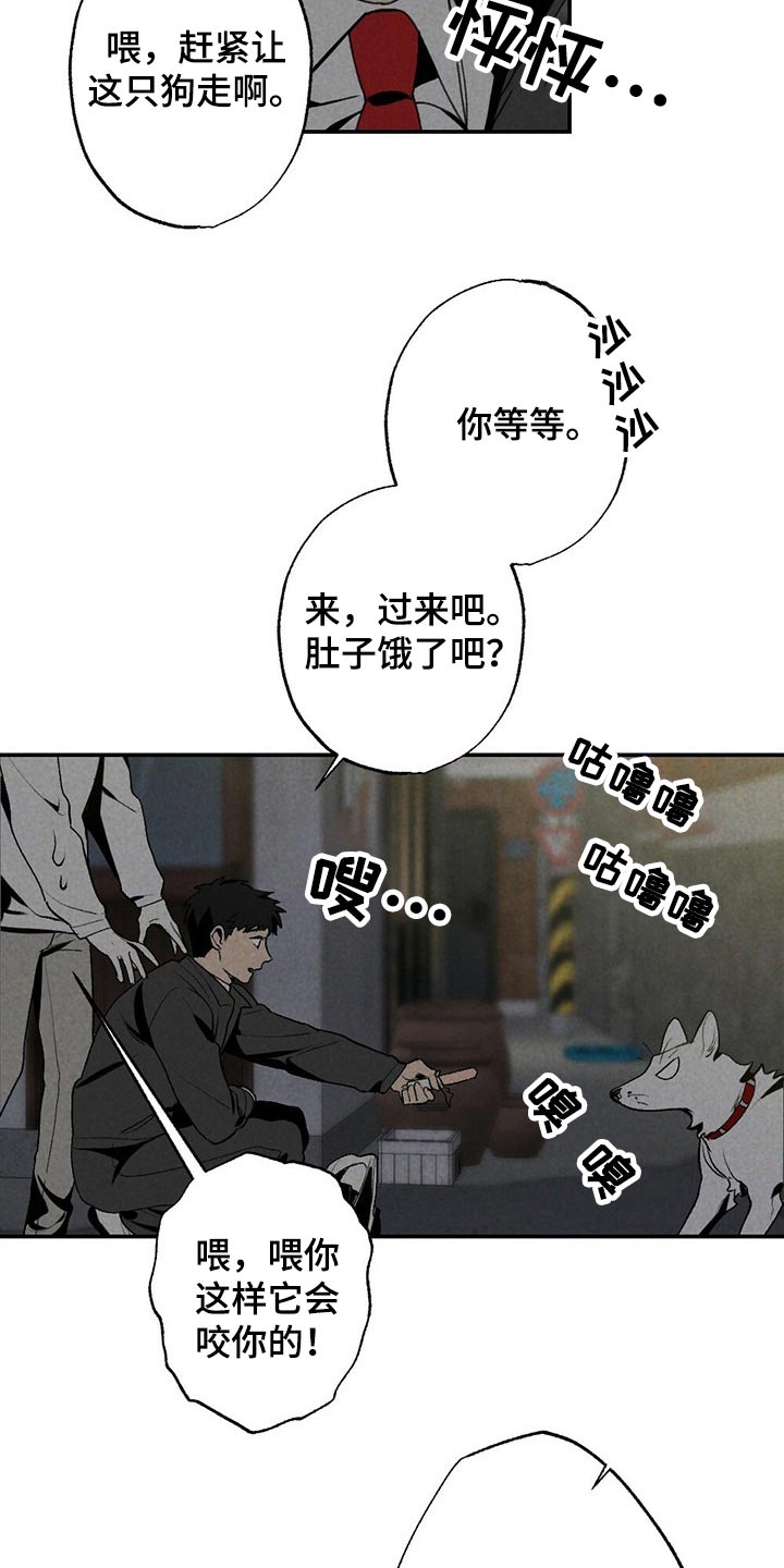第101章：狗狗15