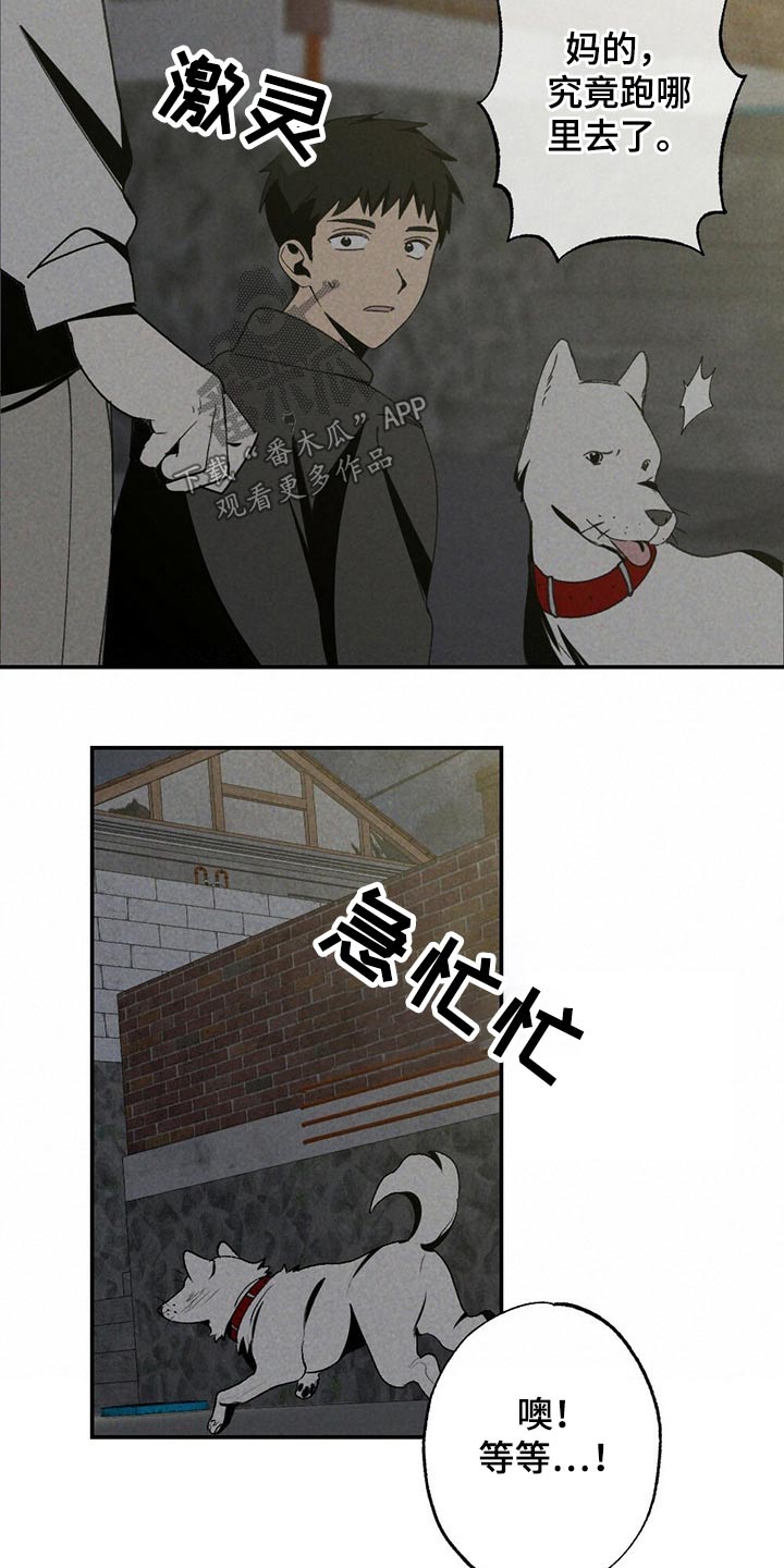 第101章：狗狗17