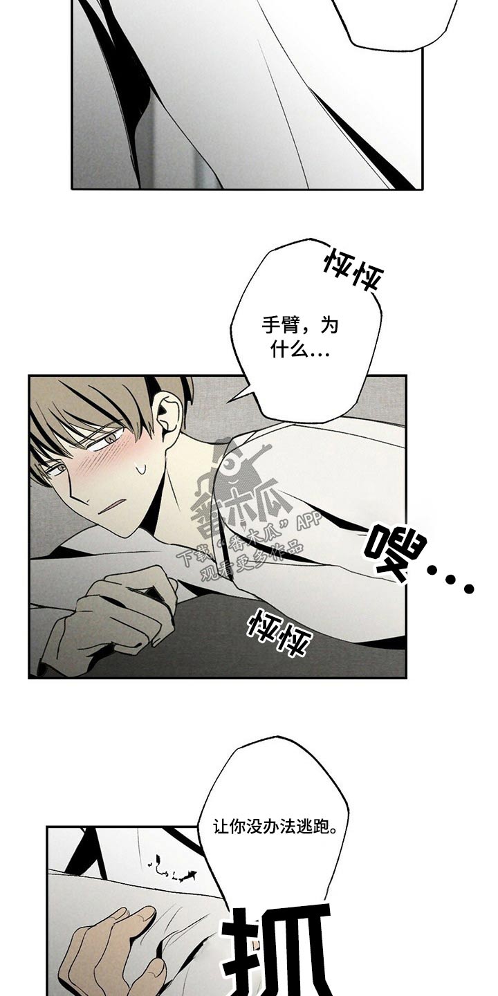 第109章：羡慕4