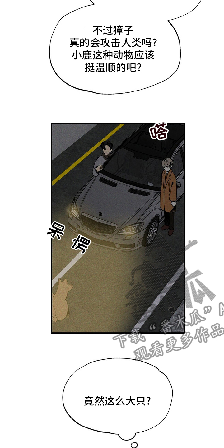 第60章：獐子11
